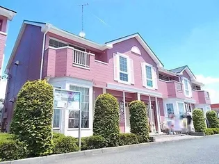 サザンクロスBの画像