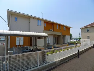 プラシードDの画像