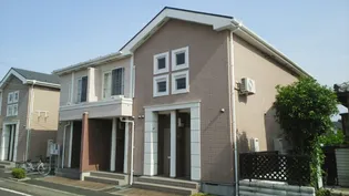 マルガリータAの画像