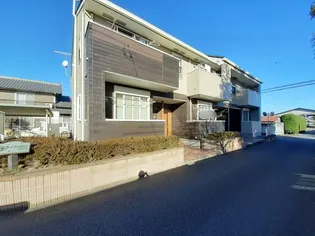 コスモスの画像