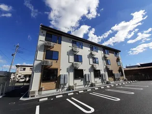 アネモネの画像