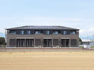 サンフラワー Cの画像