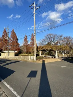 ローレルコートA【2階】の周辺