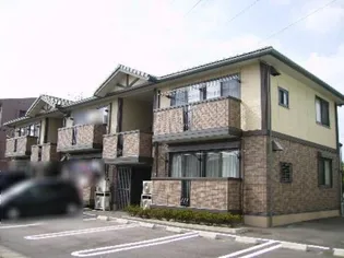 フローラMの画像