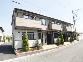 フリージアYの画像