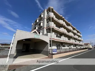 シャルマンMの画像