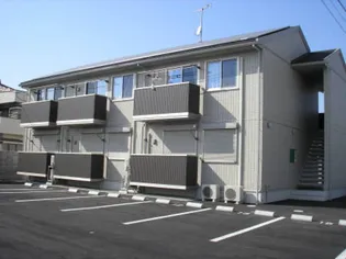 プラタナスの画像