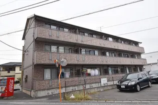 エクセルコートの画像