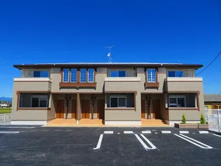 グレイスファルコンの画像