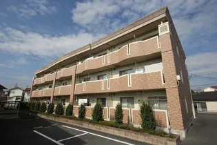 ゴールドグレイスIの画像