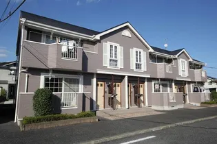 ピークリーブBの画像