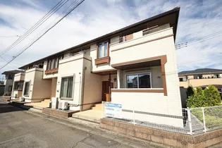 グレイス コッティの画像