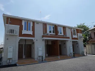 ノバグリーンの画像