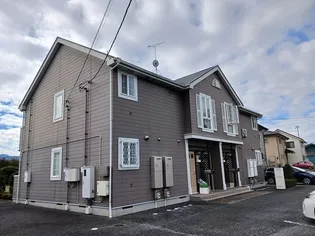 エヴァーグリーンの画像