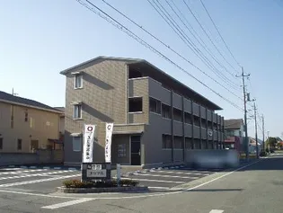 ナッツAの画像