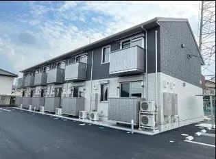 どんぐり3号の画像