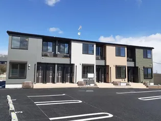 ルナリアの画像