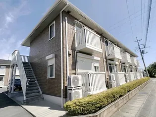 グローリアCの画像