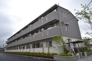 カラーズ ガーデンの画像