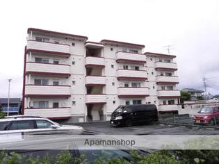 ハイムマルベリーの画像