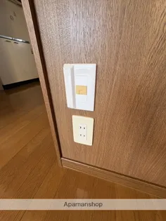 シティハイツスノーフレーク【2階】の内装