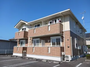 ポプルスAの画像