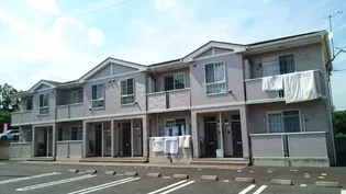 ヴァイオレットBの画像