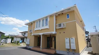 クローバーの画像