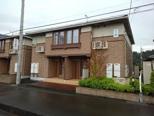 アムールBの画像