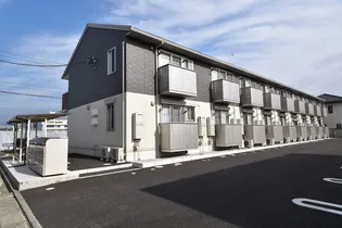 プランドールの画像