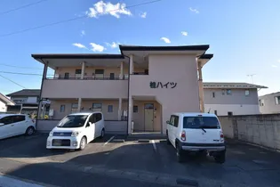 桂ハイツの画像