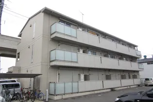 メープルリーフの画像