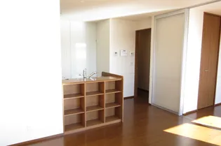 カーサ グランデ【3階】の居間