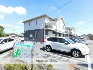 ステラ Bの画像