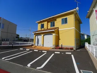 ヴィンチトーレの画像