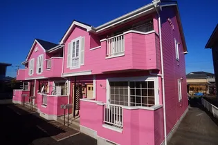 ルピナスBの画像