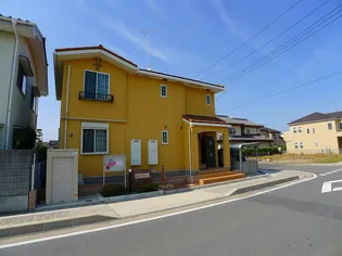 ヴァイオレットの画像