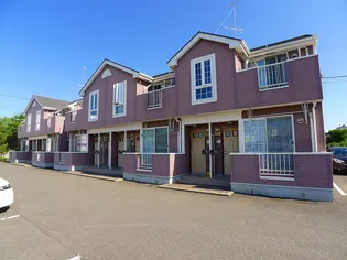 カナディアン メープルIの画像