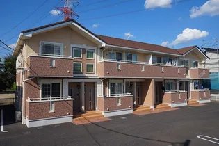 サンフラワーBの画像