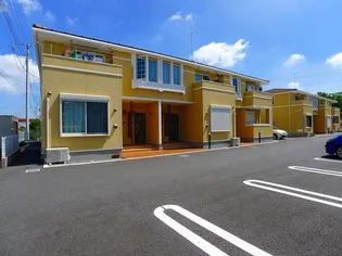 プリムローズ Bの画像