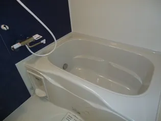 ブランノワールⅡ【1階】の風呂