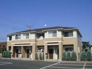 パルフェドルミナスⅡの画像