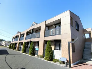 マーベラスの画像