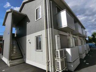 パーシモンの画像