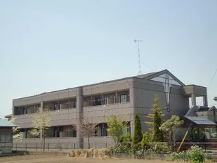 ネオ コスモの画像