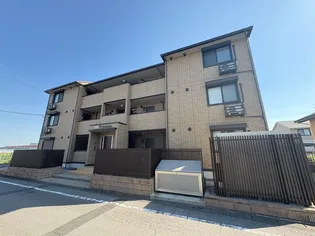 プリムラの画像