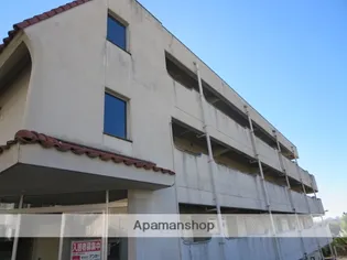 ウィッシュ ヴィーガⅡの画像