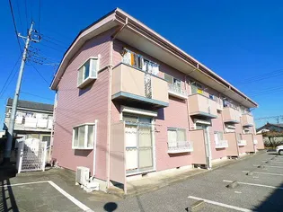 エルディム斉藤の画像