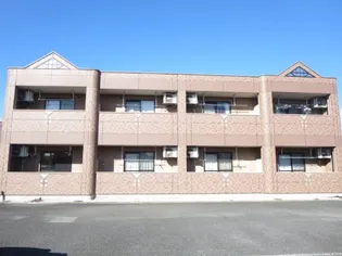 サンセベリアの画像