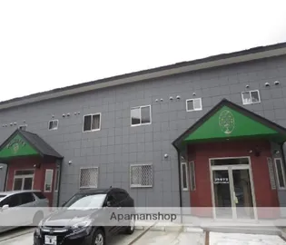 プラタナスの画像